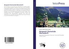 Capa do livro de Bergwerk (Gemeinde Mariasdorf) 