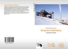 Buchcover von Bergwerk Peißenberg