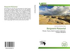 Portada del libro de Bergwerk Platzertal