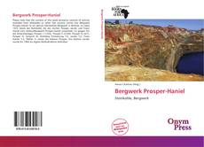 Portada del libro de Bergwerk Prosper-Haniel