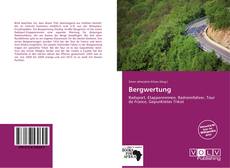 Capa do livro de Bergwertung 