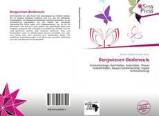 Bergwiesen-Bodeneule kitap kapağı