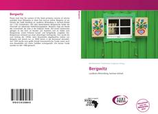 Buchcover von Bergwitz