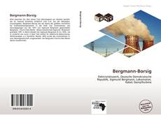 Buchcover von Bergmann-Borsig