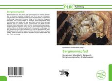 Buchcover von Bergmannspfad