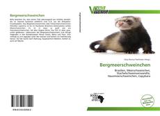 Portada del libro de Bergmeerschweinchen