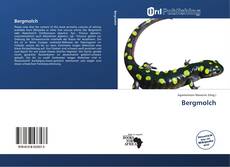 Bookcover of Bergmolch