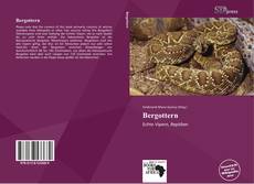 Portada del libro de Bergottern