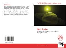 Portada del libro de 2867 Šteins