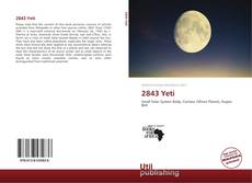 2843 Yeti kitap kapağı