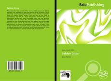 Bookcover of Seldon Crisis