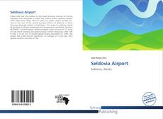 Copertina di Seldovia Airport