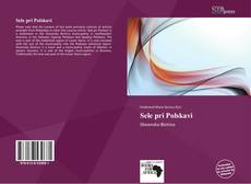 Portada del libro de Sele pri Polskavi