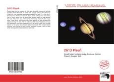 Portada del libro de 2613 Plzeň