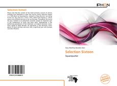 Bookcover of Selection Sixteen