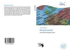 Portada del libro de Bergneustadt