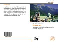 Bookcover of Bergputzer