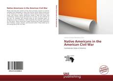 Native Americans in the American Civil War的封面