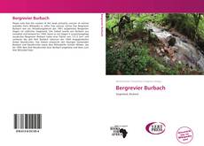 Bookcover of Bergrevier Burbach