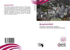 Bergrheinfeld kitap kapağı