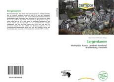 Portada del libro de Bergerdamm