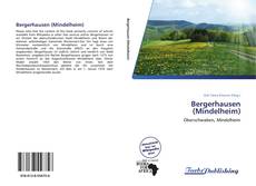 Capa do livro de Bergerhausen (Mindelheim) 