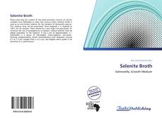 Bookcover of Selenite Broth