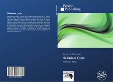 Selenium Cycle kitap kapağı