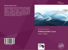 Selenocysteine Lyase的封面