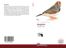 Portada del libro de Bergfink