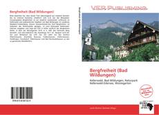 Bergfreiheit (Bad Wildungen) kitap kapağı