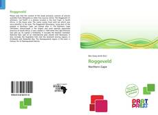 Capa do livro de Roggeveld 