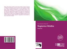 Capa do livro de Rogienice Wielkie 