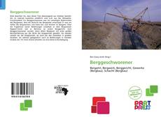 Bookcover of Berggeschworener