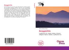 Portada del libro de Berggächtle