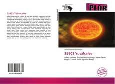 Couverture de 25903 Yuvalcalev