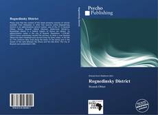 Buchcover von Rognedinsky District