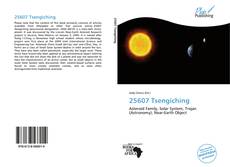 Copertina di 25607 Tsengiching