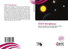 Couverture de 25573 Wanghaoyu