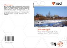 Bookcover of Wilcze Bagno