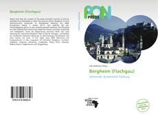 Capa do livro de Bergheim (Flachgau) 