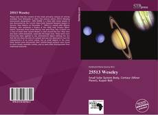 Portada del libro de 25513 Weseley