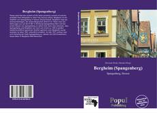 Capa do livro de Bergheim (Spangenberg) 