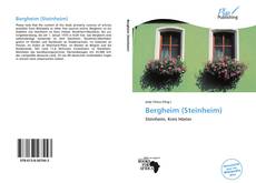 Capa do livro de Bergheim (Steinheim) 