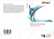 Bookcover of Natrona, Wyoming