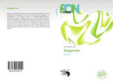 Couverture de Roggentin