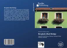 Portada del libro de Bergholz (Bad Belzig)