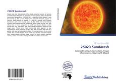 Capa do livro de 25023 Sundaresh 