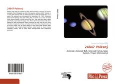 Bookcover of 24847 Polesný