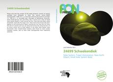 Bookcover of 24699 Schwekendiek